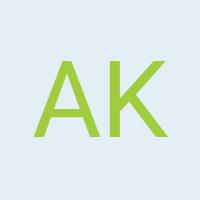 Avatar Anna Kholmovskaya