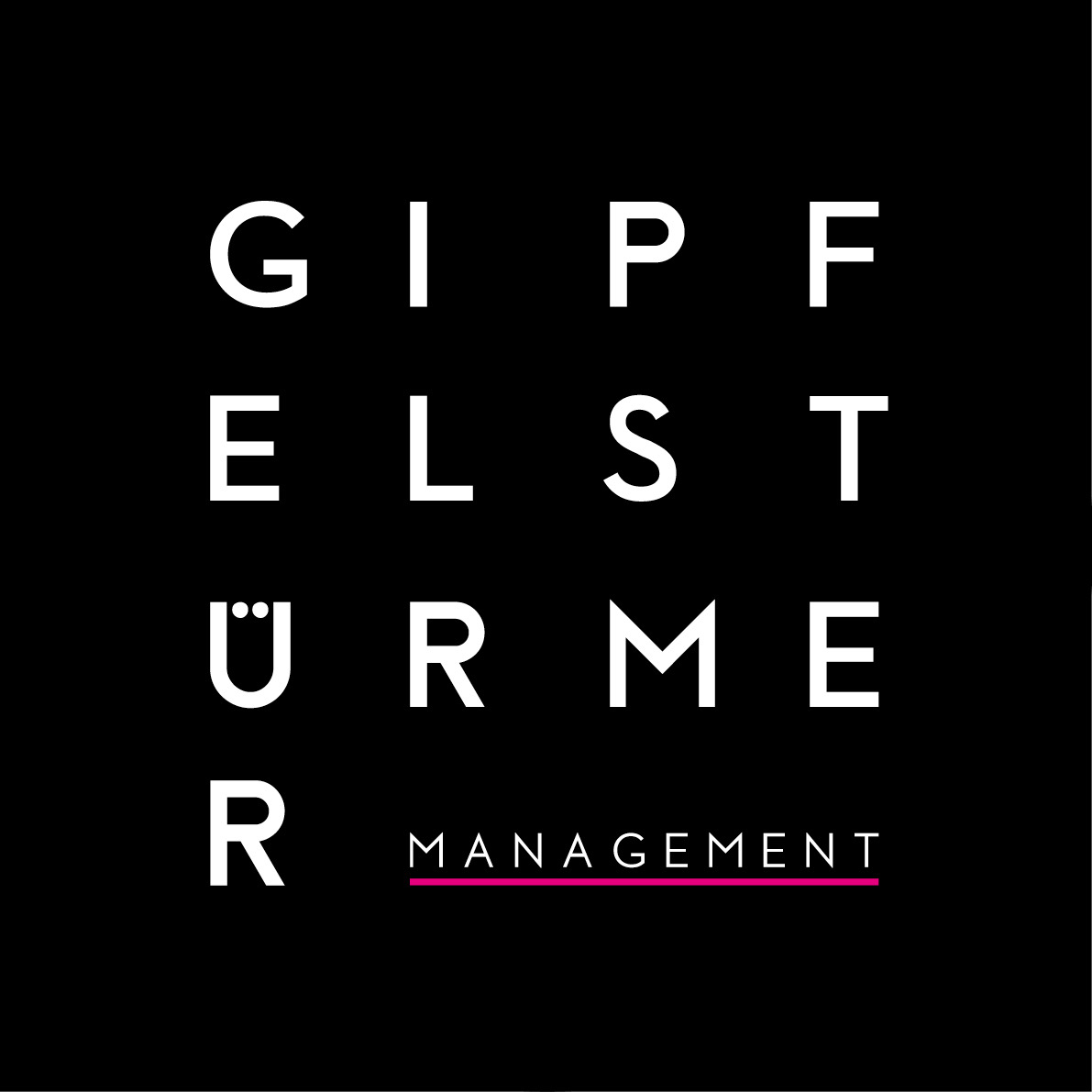 Logo Gipfelstürmer Management